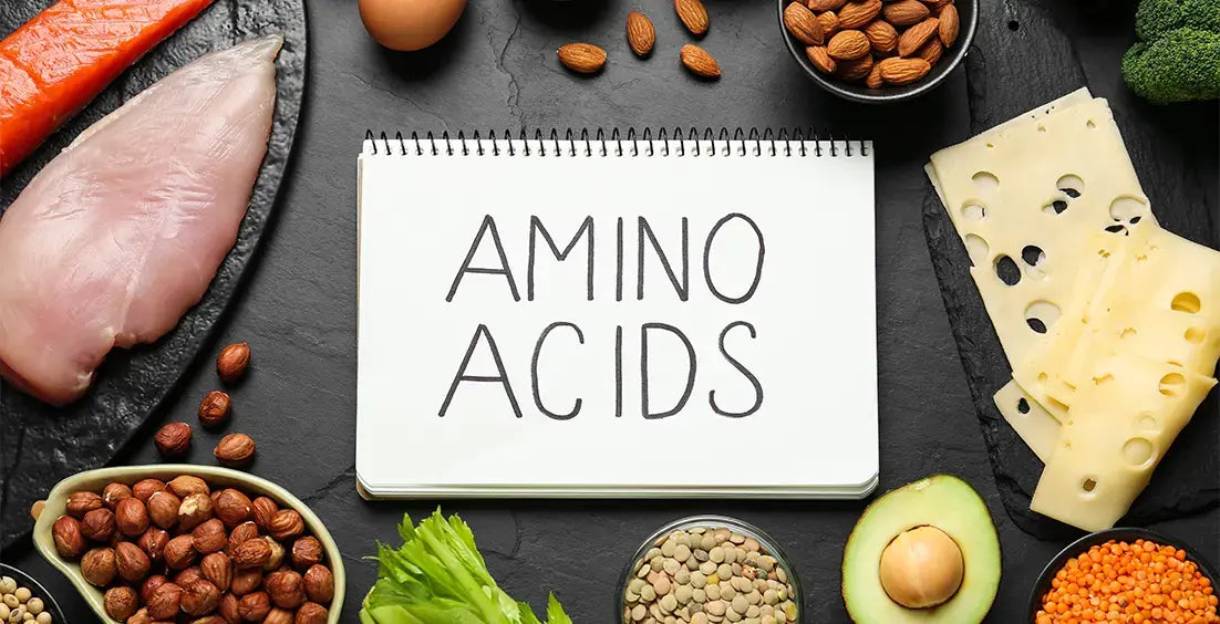 Amino Acids
