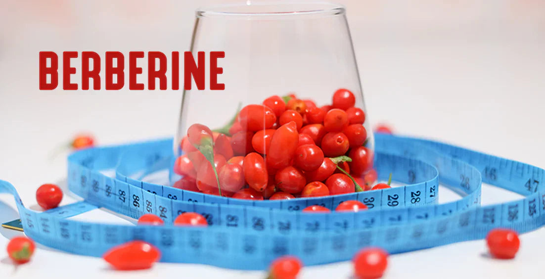 Berberine as a Natural Alternative for Weight Loss