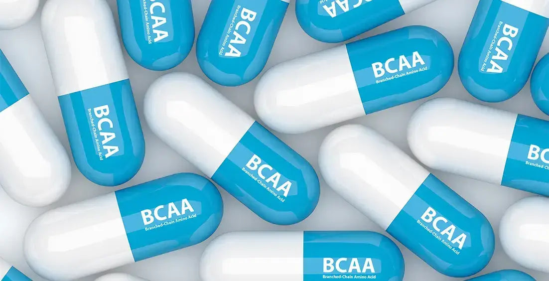 Best BCAA Supplements