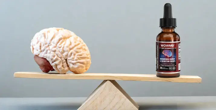 5 Best Brain Supplements for Energy, Focus & Clarity