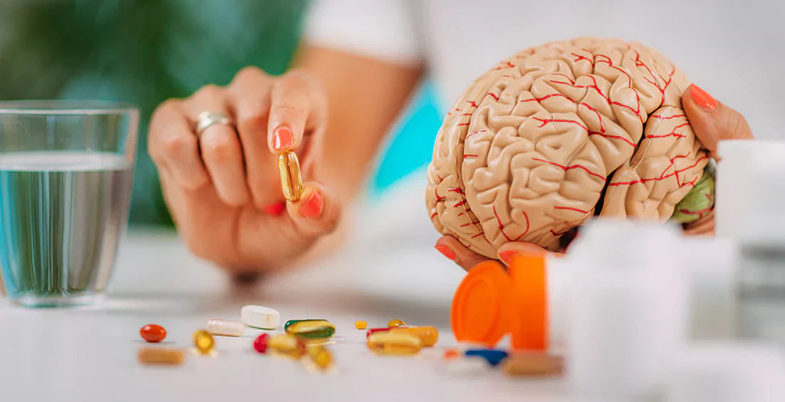 Best Cognitive Supplements