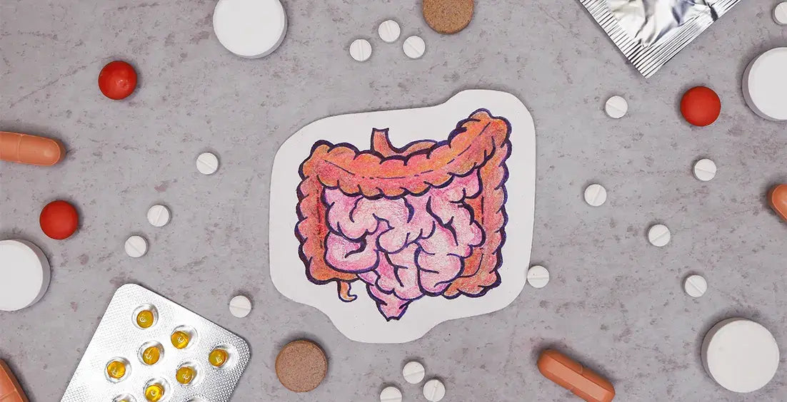 Best Colon Cleansers