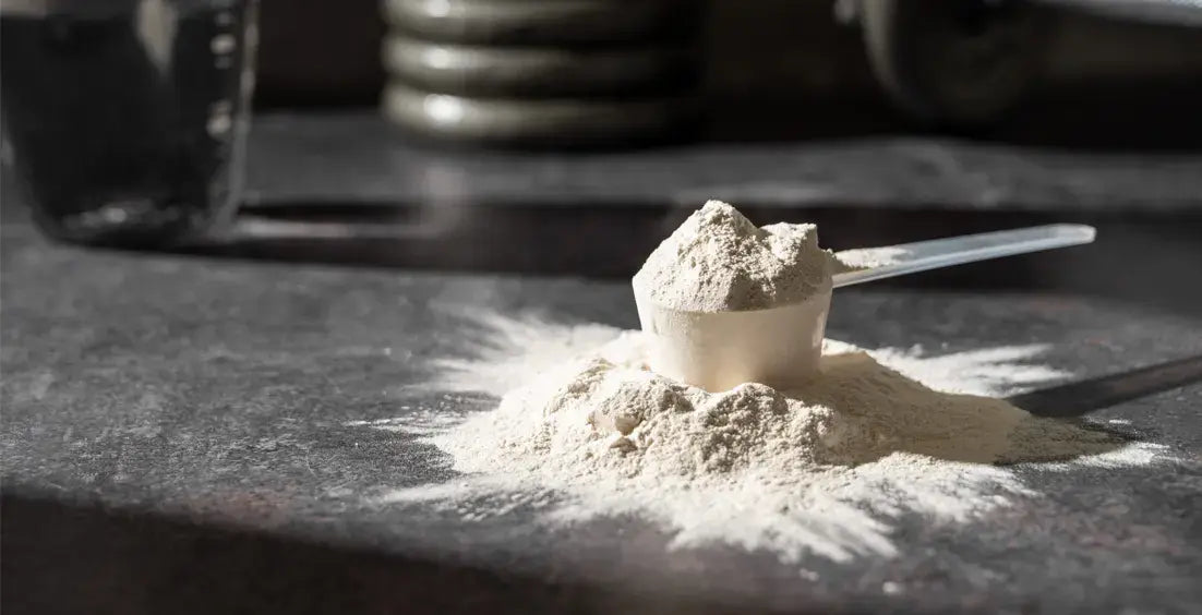 Best Creatine Supplements for Fast Recovery & Muscle Growth