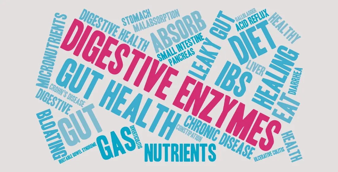 Best Digestive Enzymes