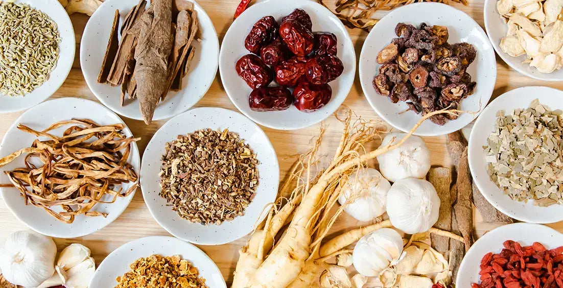 Top Herbs for Kidney and Urinary Tract Health