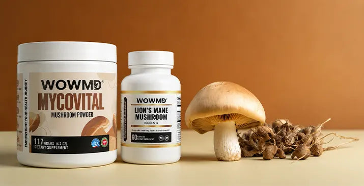 Best Mushroom Supplement