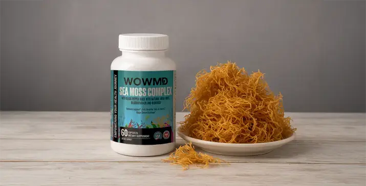 10 Best Sea Moss Supplements for Better Energy, Skin, and Digestion