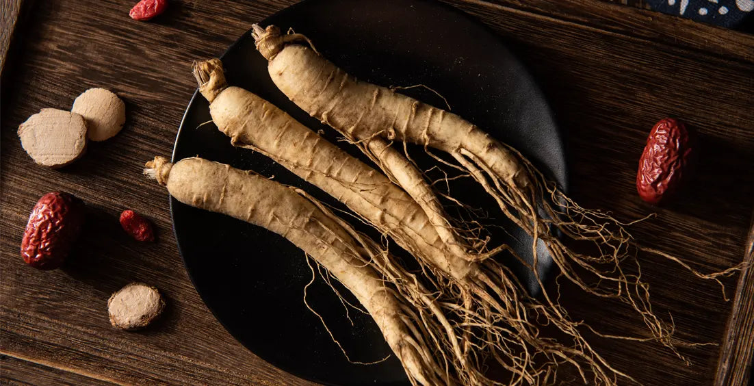 What is the Daily Recommended Dosage of Ginseng?