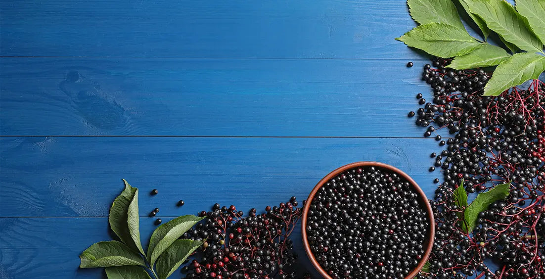 Can You Take Elderberry Every Day Over a Long Period?