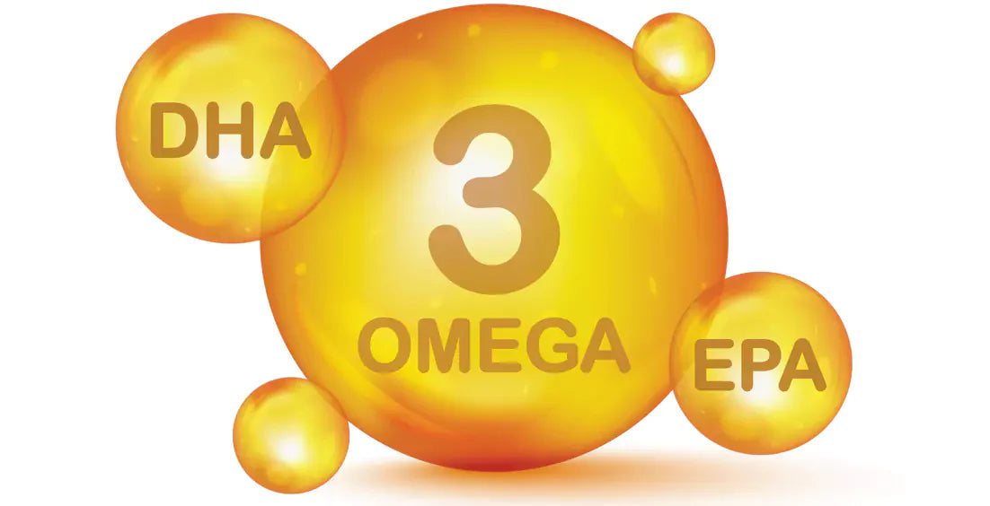 Fish Oil Benefits: How Can They Enhance Your Well-being?