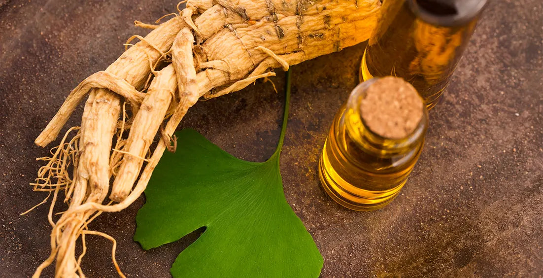 Ginseng and Ginkgo Biloba Together