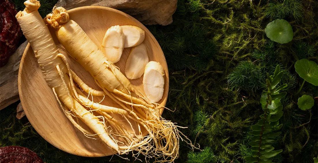 Ginseng and for Brain Health