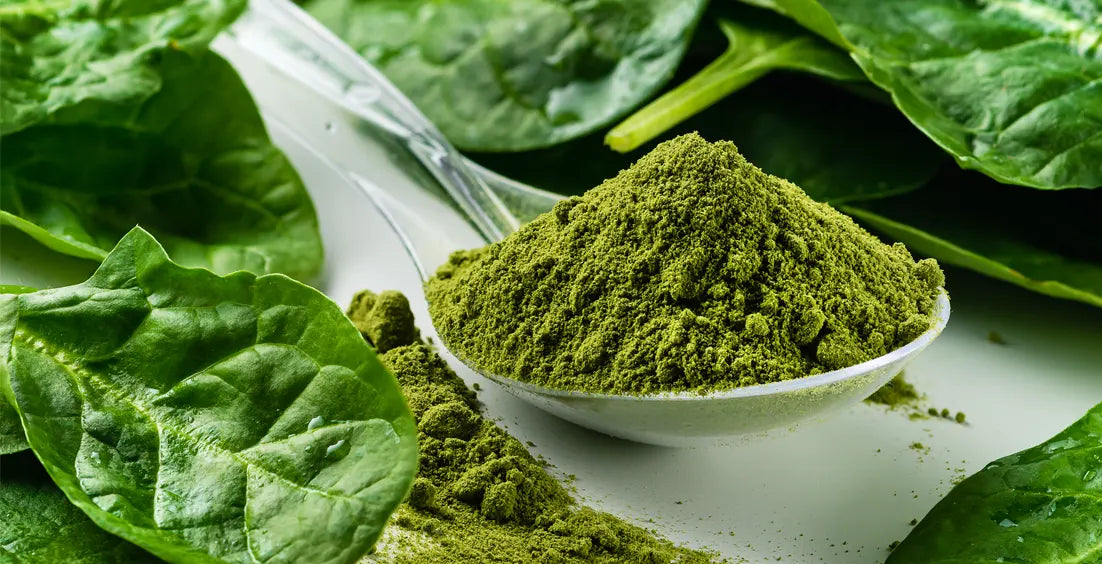 Superfood Greens Powder Uses & Recipes