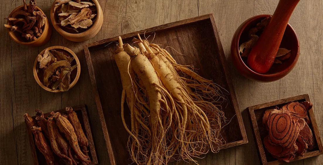 Ginseng Benefits: Can Ginseng Boost Your Health?