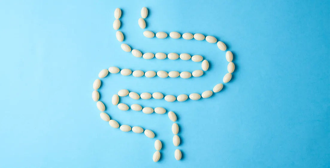 How Long Do Probiotics Take to Work After Starting Them