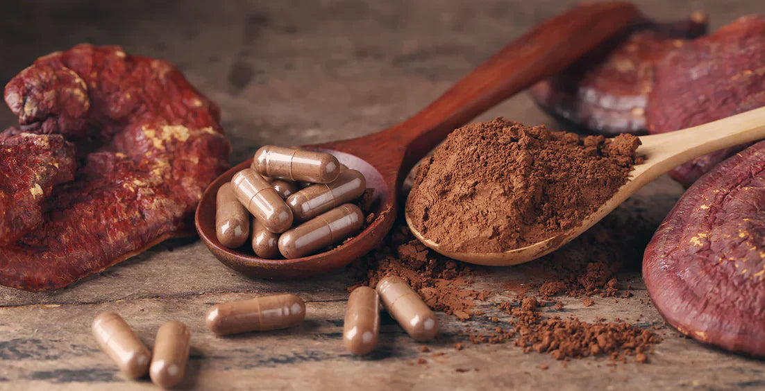 Mushroom Supplements