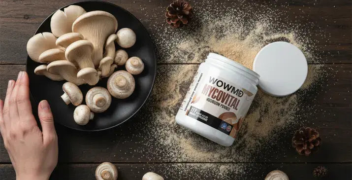 Mushrooms for Brain Health: Do They Really Help Memory and Focus?