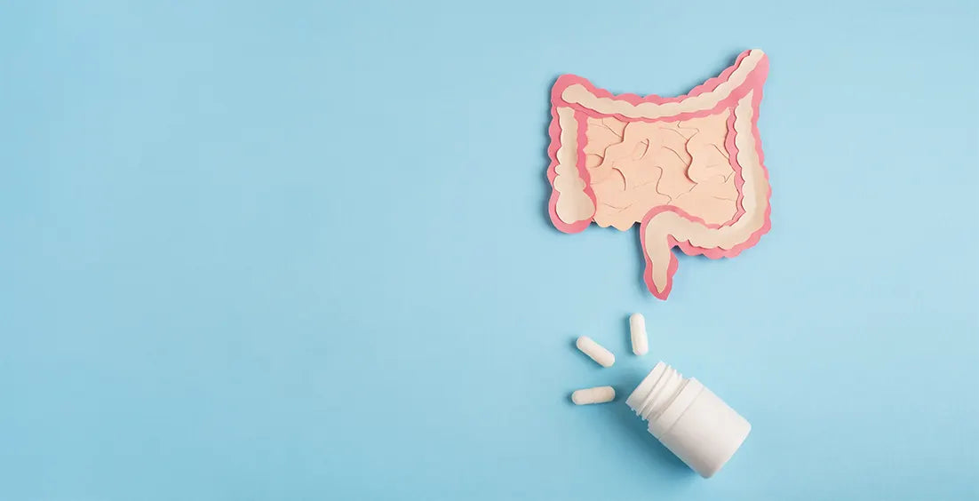 An image showing Probiotic sources.