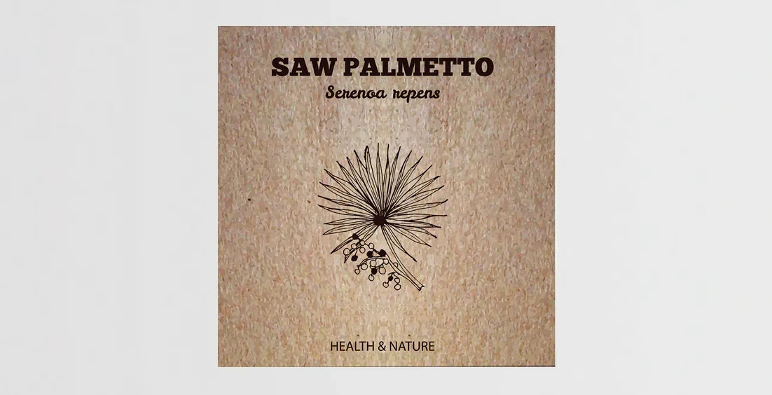 Saw Palmetto