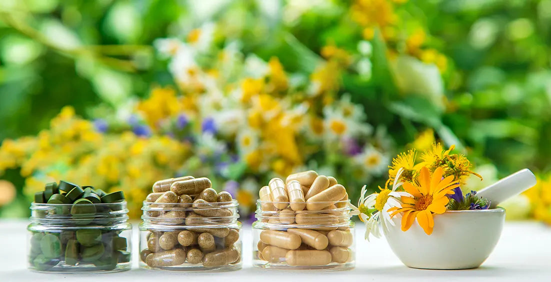 The 10 Best Herbs for Memory, Focus, and Brain Health
