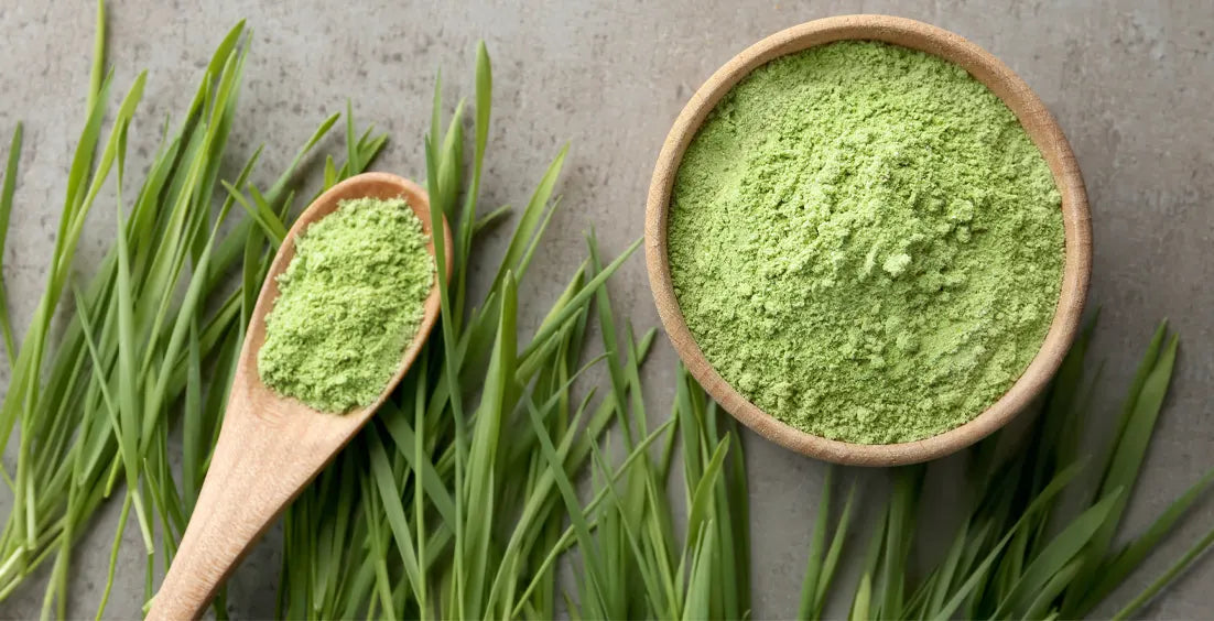 12 Evidence-Based Benefits of Wheatgrass