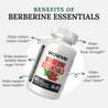 Berberine Essentials