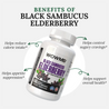 Black Sambucus Elderberry Extract