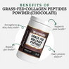 Grass-Fed Collagen Peptides Powder (Chocolate)