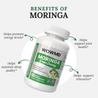 Moringa Green Energy