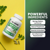 Moringa Green Energy