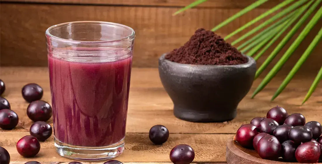 Best Acai Berry Supplements
