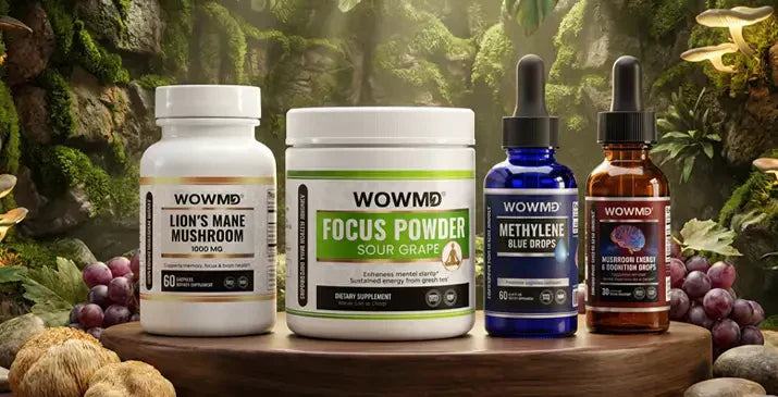 Best Brain Supplements