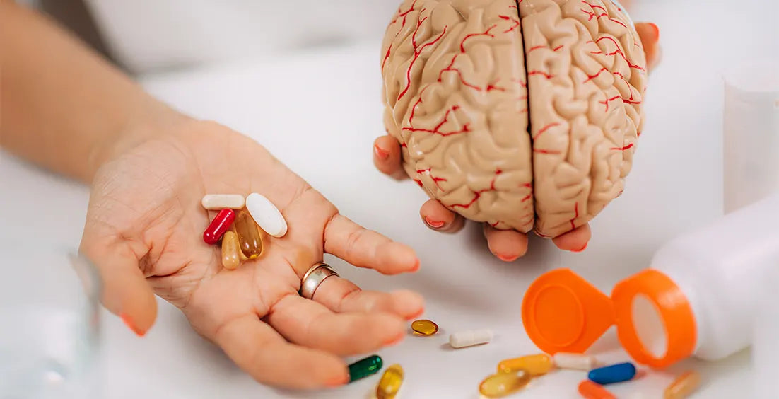The Best Brain Supplements for Memory, Focus & Studying