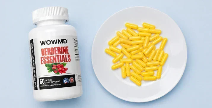 Best Cholesterol-Lowering Supplements: Top 10 for 2026