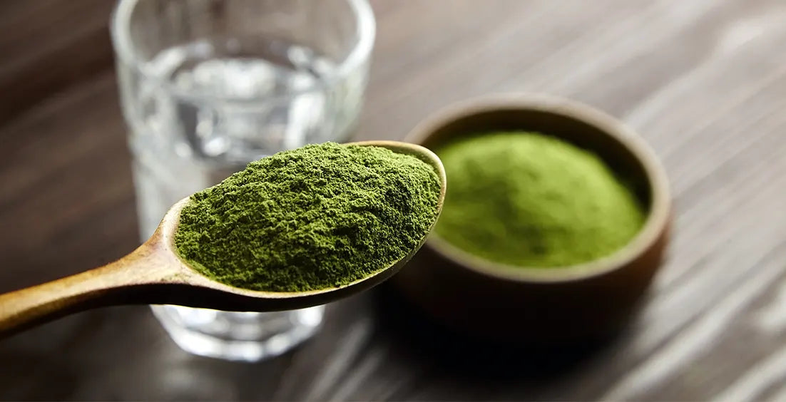 Best Greens Powders To Add Essential Nutrients To Your Diet
