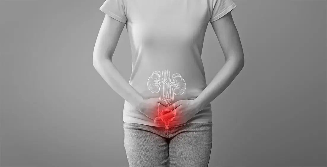 Best Urinary Tract Supplements: Natural Solutions for UTIs & Bladder Health