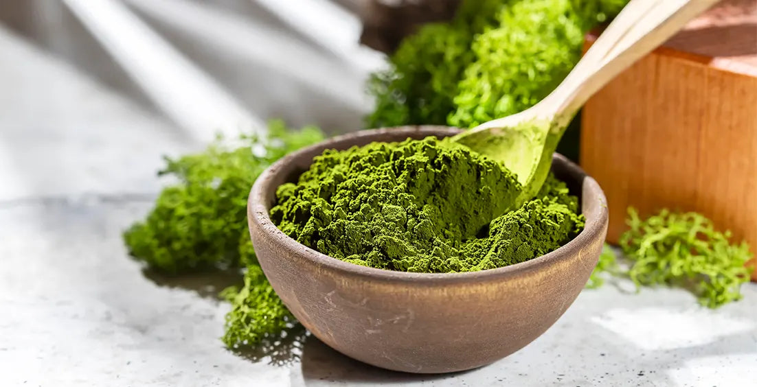 Chlorella Benefits & Sources: A completed guide