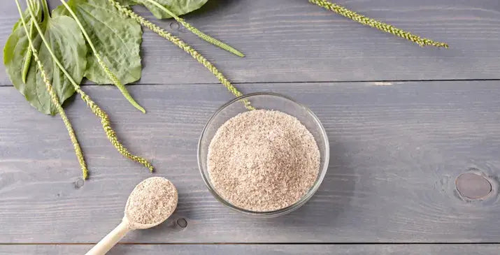 Can You Take Psyllium Fiber In Pregnancy? Benefits & Risks