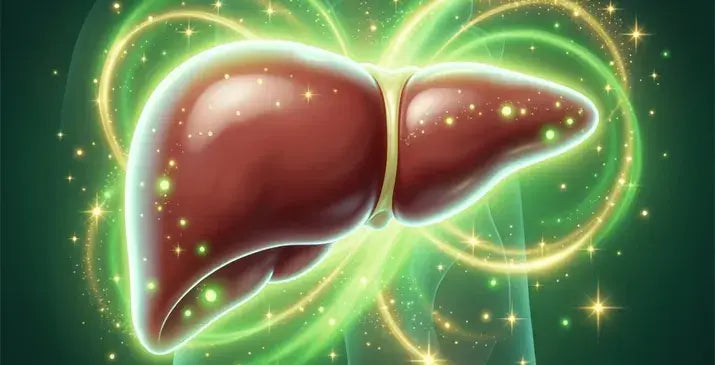 Understanding Liver Detoxification: What to Realistically Expect