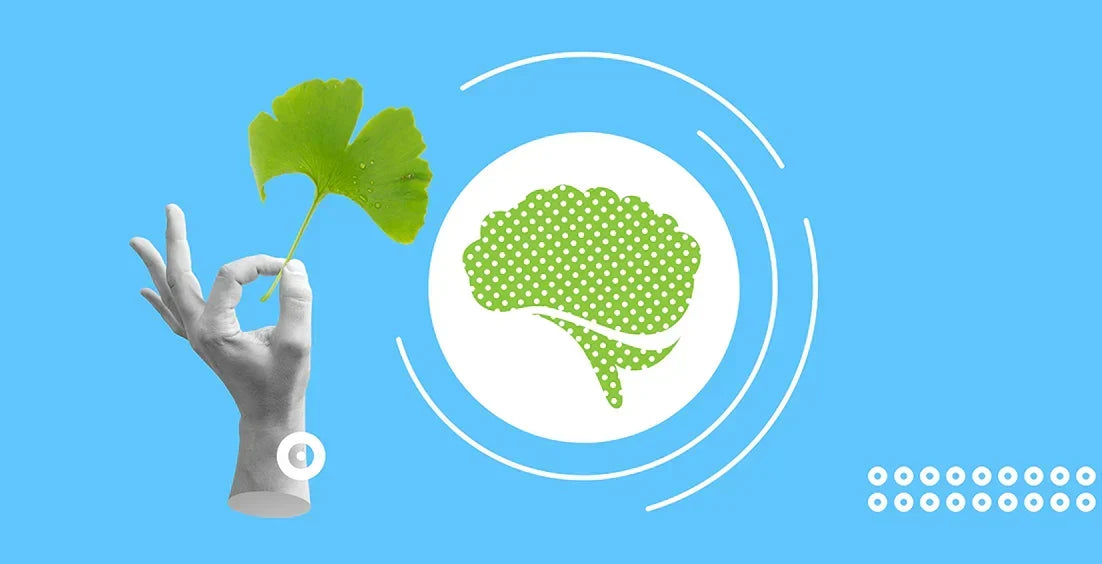 An image of ginkgo biloba as best-reviewed brain supplements for cognitive improvement