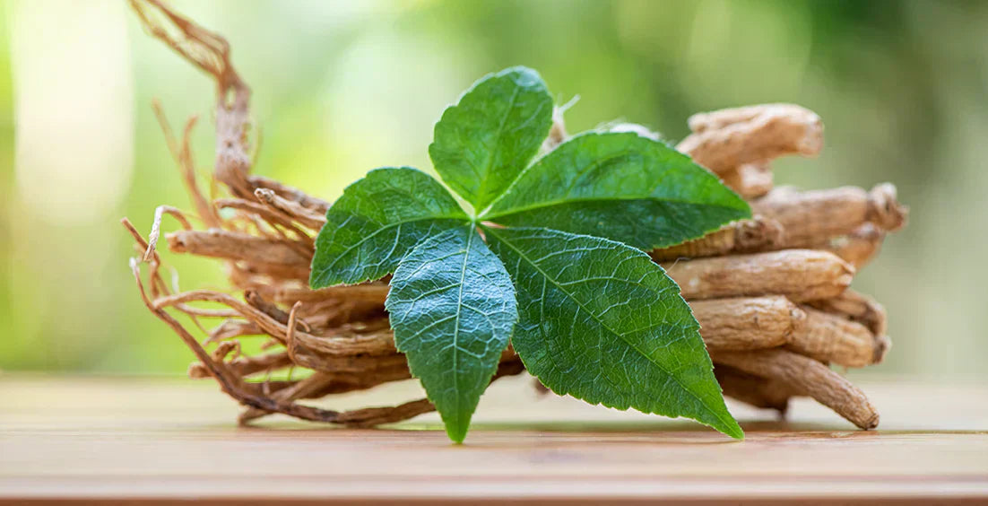 Benefits of Ginseng for Women