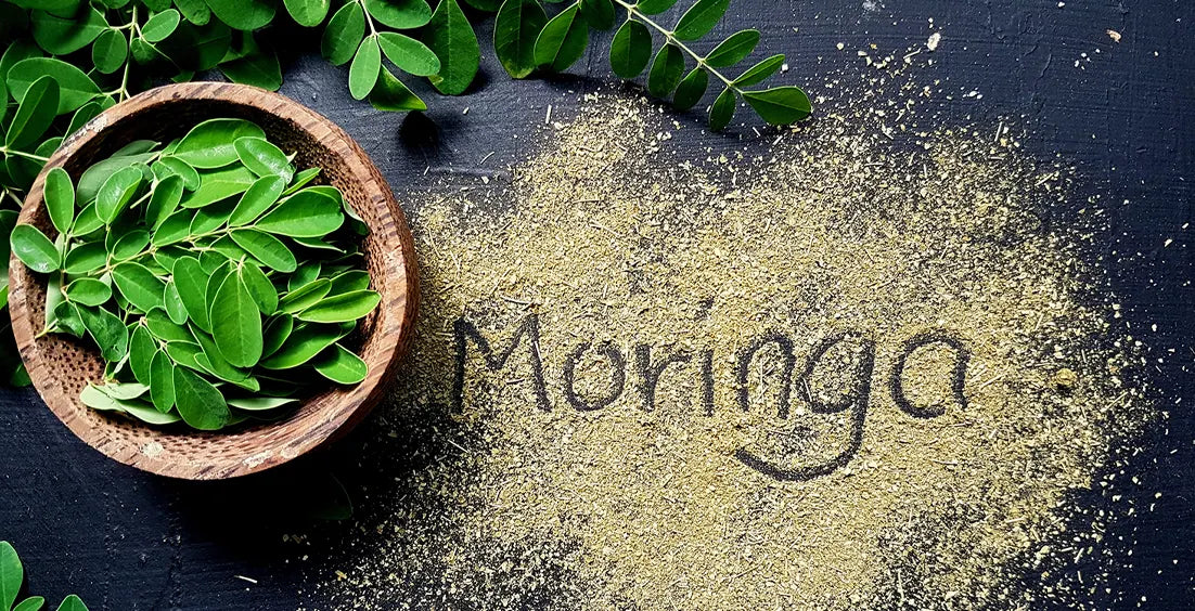 Moringa Leaves Benefits: The Hidden Nutritional Powerhouse
