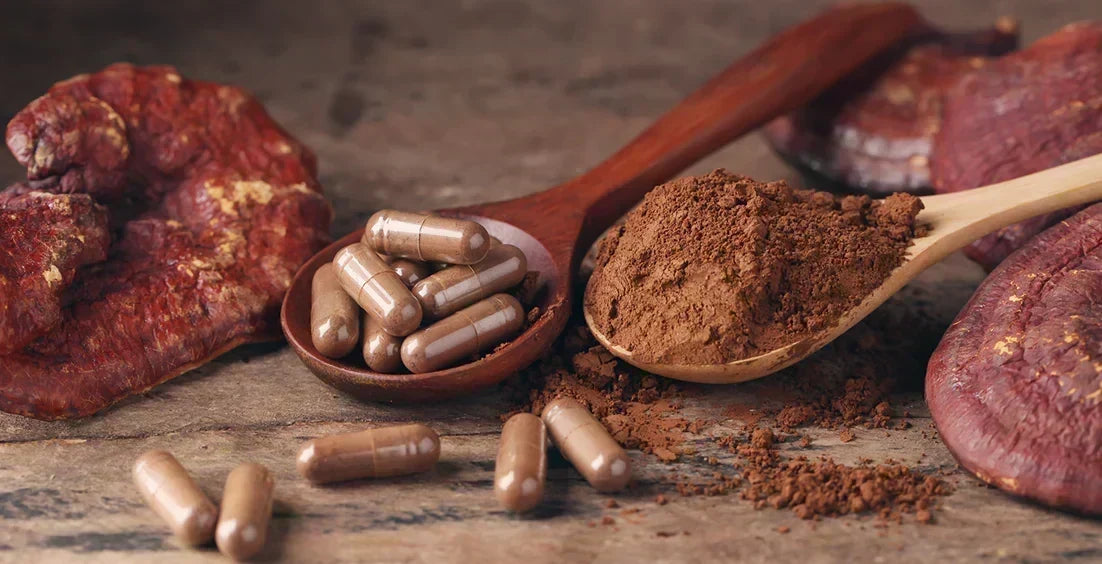 Mushroom Supplements