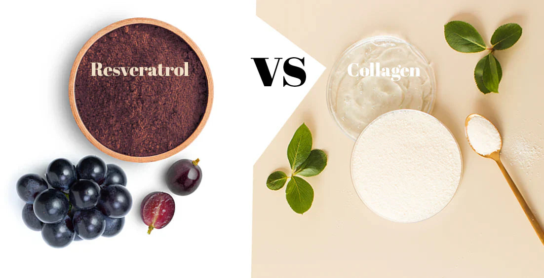 Is Resveratrol Better than Collagen for Skin Care