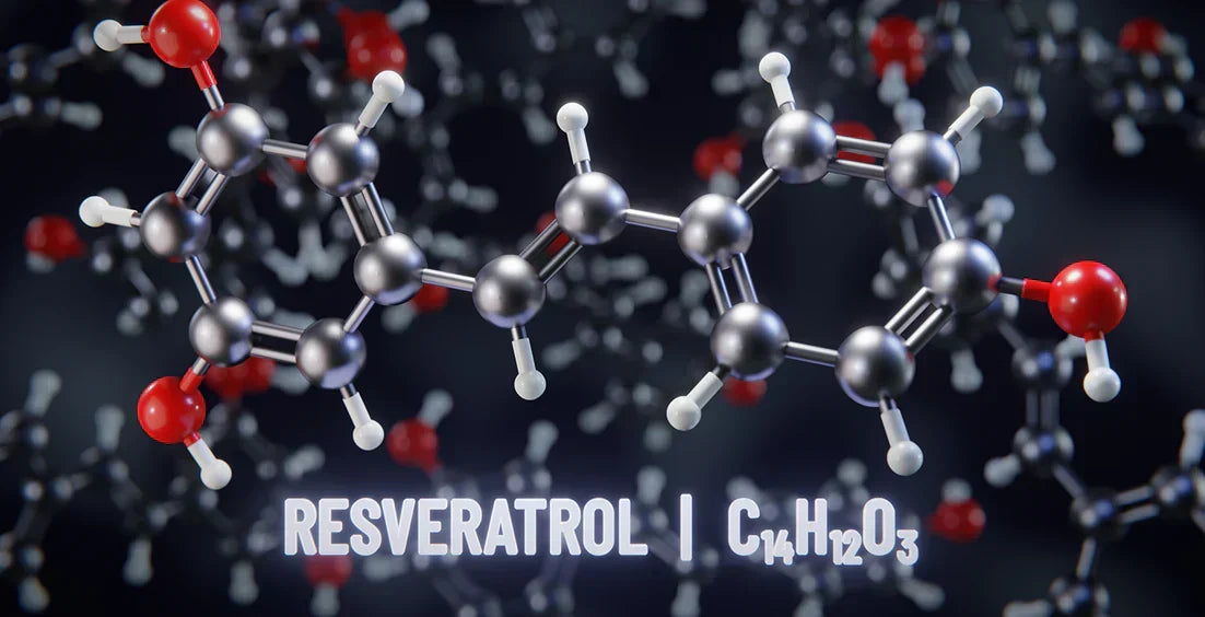 How to Take Resveratrol for Best Results