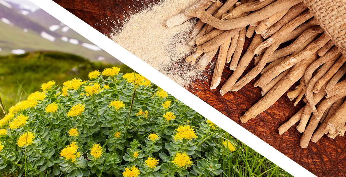 Can You Take Rhodiola And Ashwagandha Together?