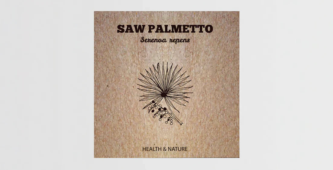 Saw Palmetto
