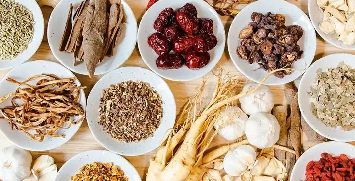 Top Herbs for Kidney and Urinary Tract Health