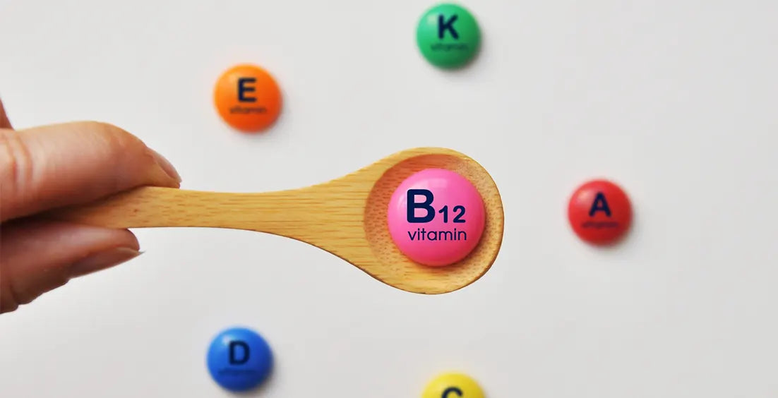 What Foods are High in Vitamin B12 and Why You Need Them?