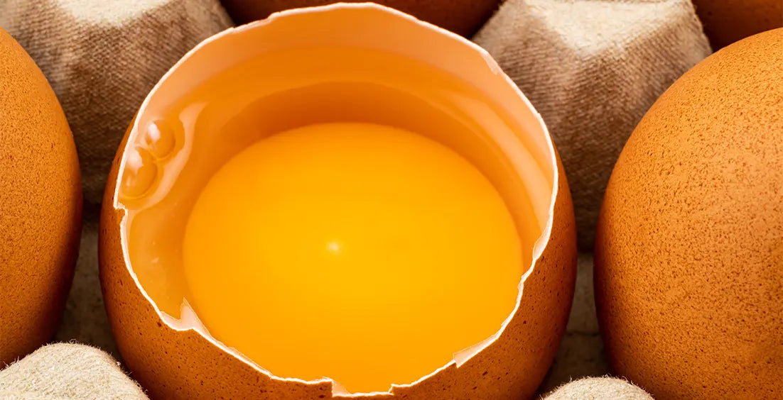What Is Choline?